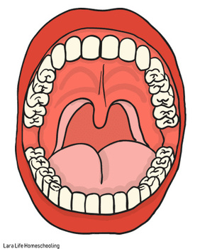 Commonly Asked Questions about Oral Cancer