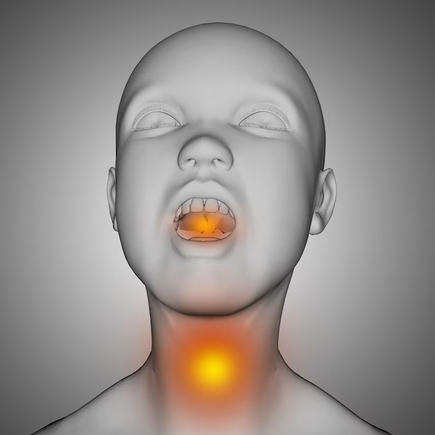 3D medical illustration highlighting the throat and larynx