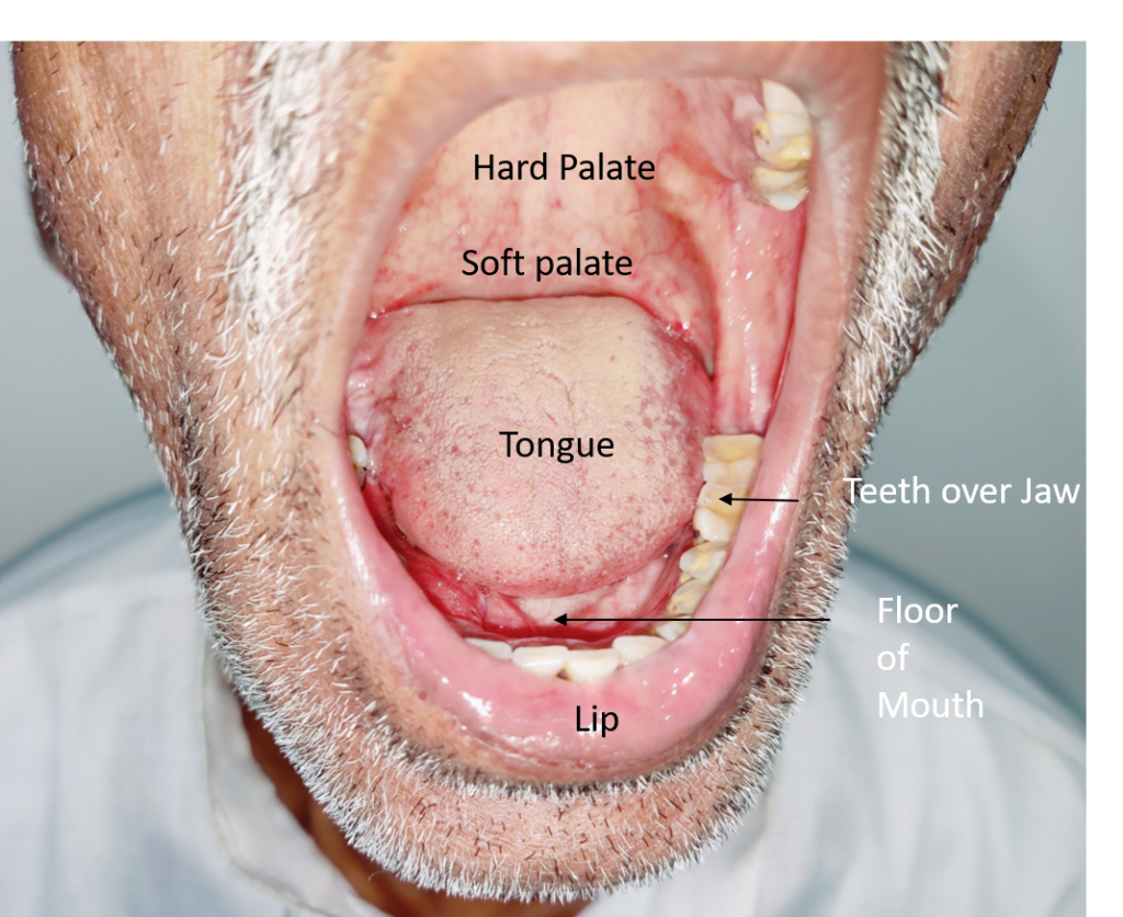 oral cancer research articles 2018